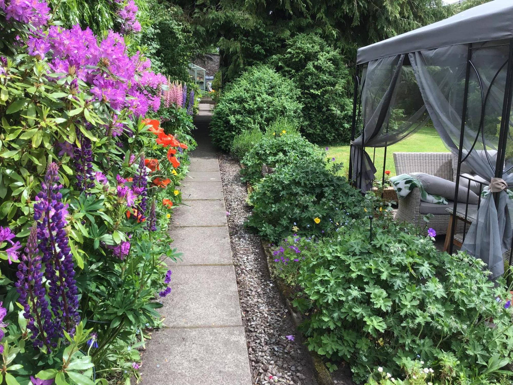 Comelybank Guesthouse Crieff Eksteriør billede