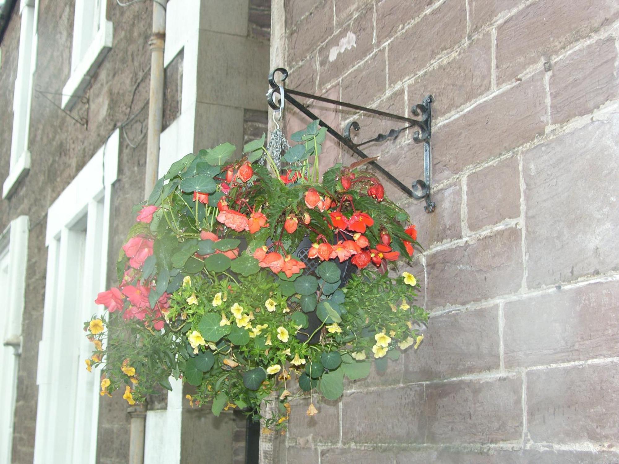 Comelybank Guesthouse Crieff Eksteriør billede